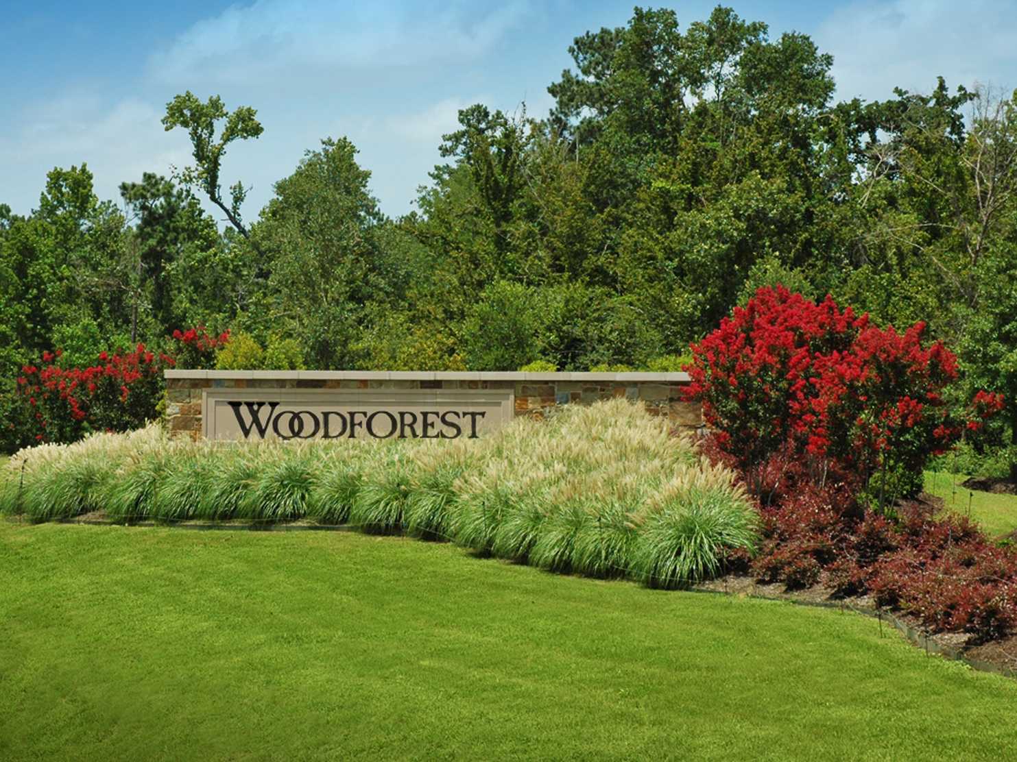 Model Home in Houston Texas, Woodforest Russet Peak community