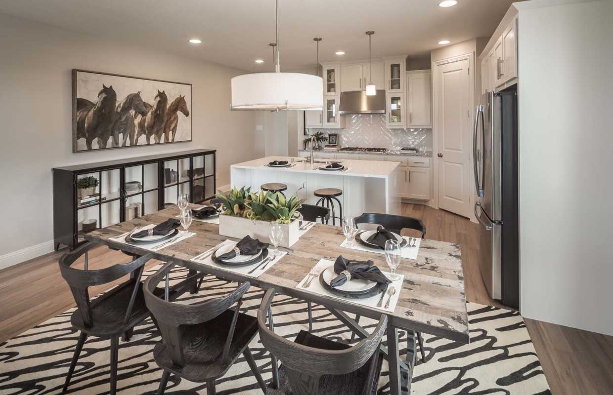Model Home in Dallas / Fort Worth Texas, The Tribute Westbury community