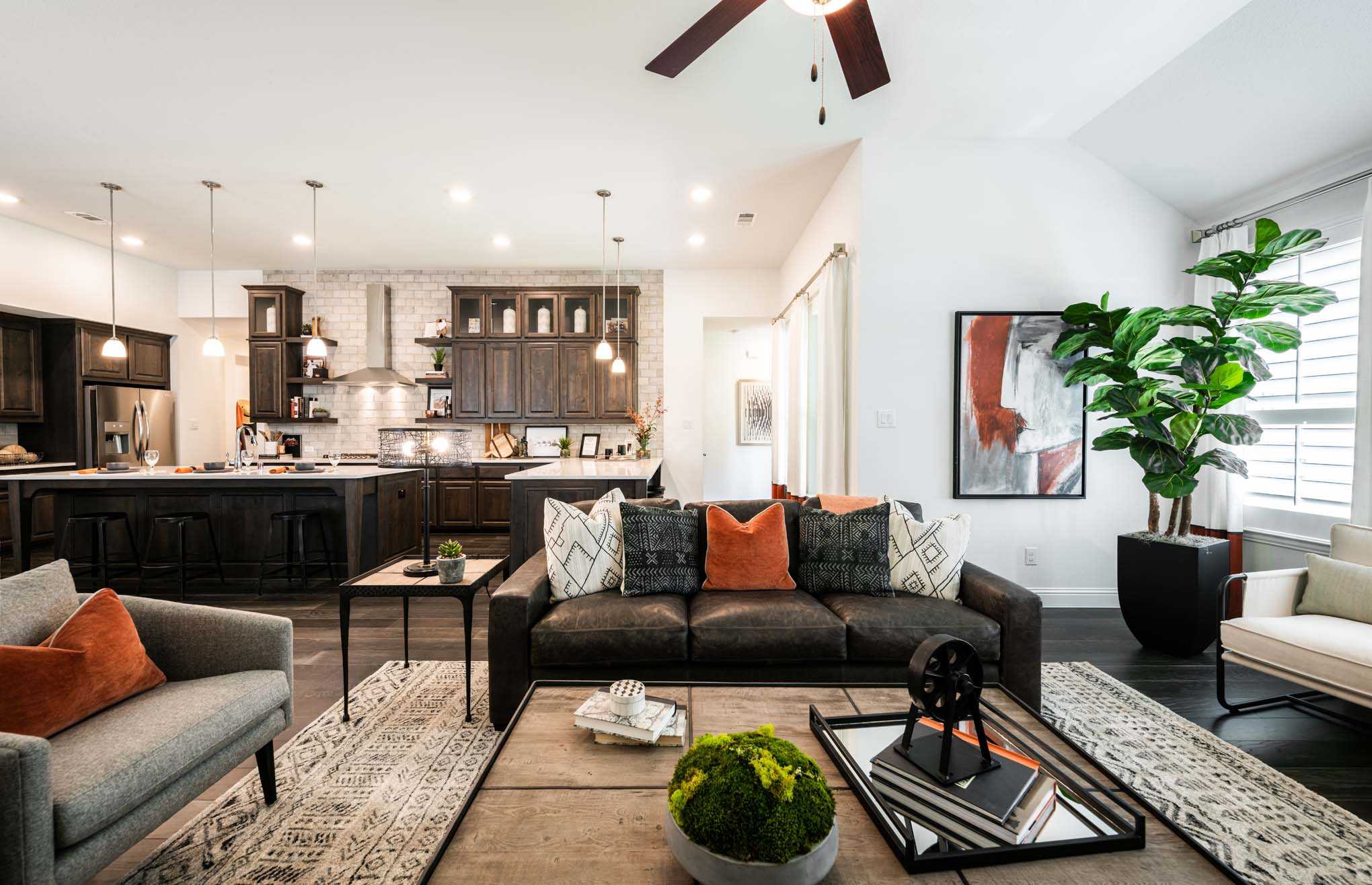 New Homes in Union Park 60ft. lots Home Builder in Little Elm TX